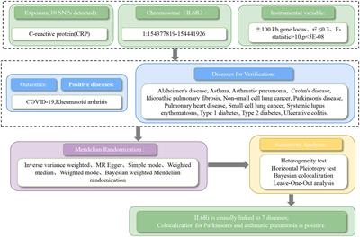 IL6 receptor inhibitors: exploring the therapeutic potential across multiple diseases through drug target Mendelian randomization